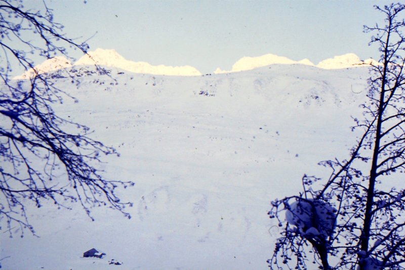 pk05.jpg