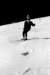 bw343710_small.jpg