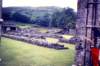 sldb11stratafloridaabbey_small.jpg