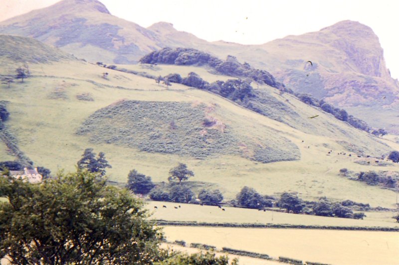 sldc06castellybere.jpg