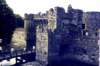 sldd09beaumariscastle_small.jpg