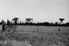 sldd25bjodrellbank_small.jpg